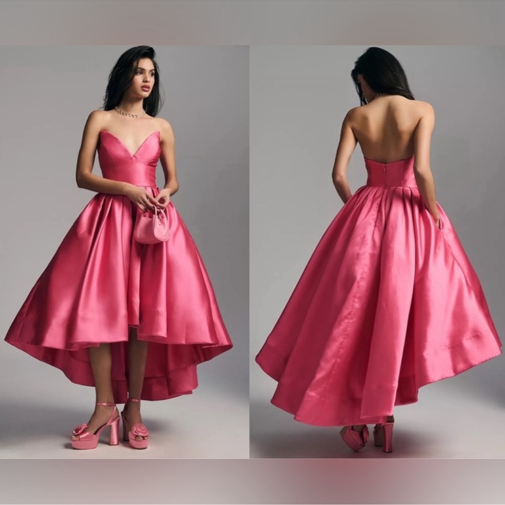 Hutch Sabrina Strapless Pink Dress